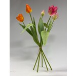 BOS TULPEN 5X | MULTI | 49 CM