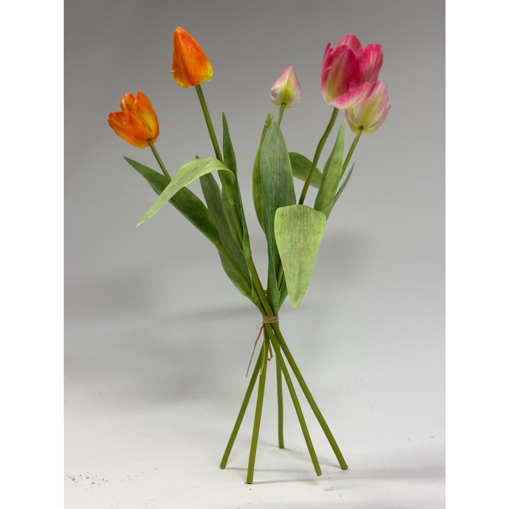 BOS TULPEN 5X | MULTI | 49 CM