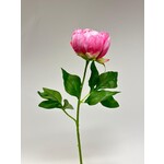 PEONY | PINK | 58 CM