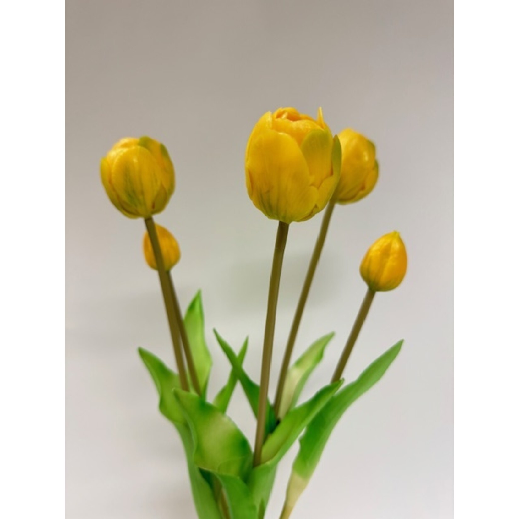 BOUQUET TULIPS 5X | YELLOW|  45 CM