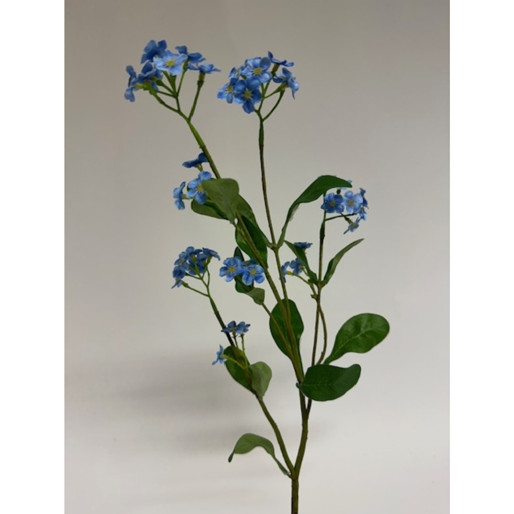 FORGET ME NOT | BLUE | 49 CM