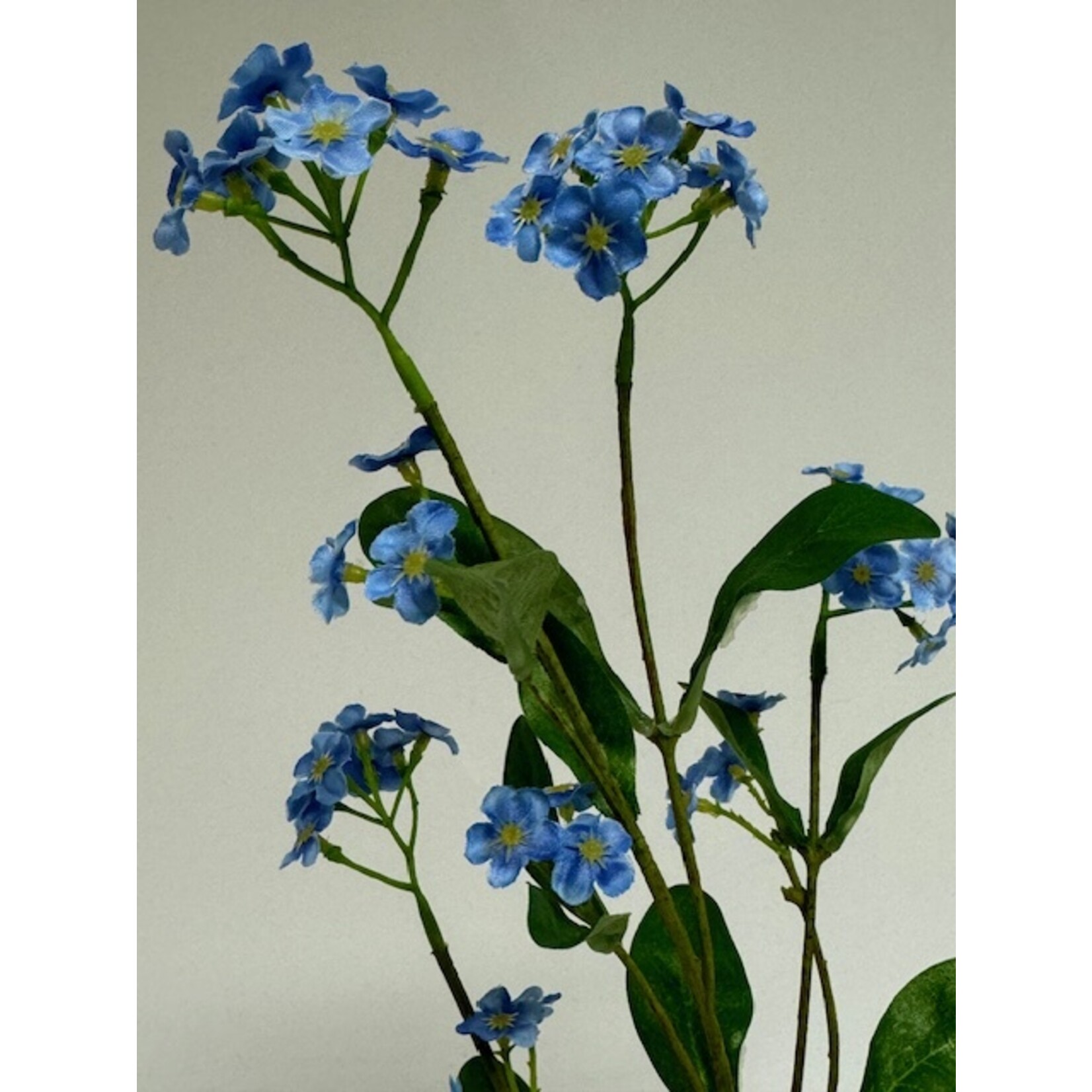 FORGET ME NOT | BLUE | 49 CM