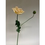 POPPY | NUDE | 78 CM