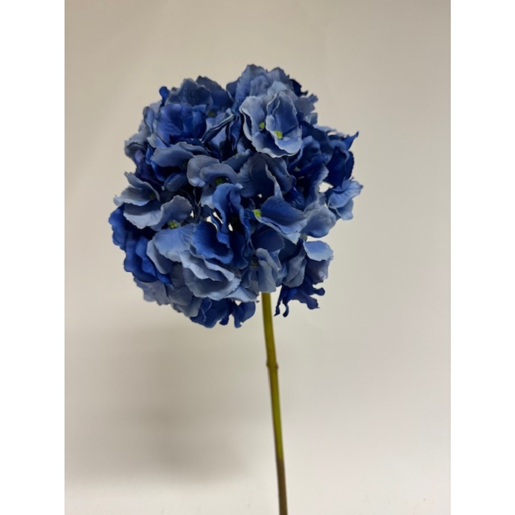 HORTENSIA LITTLE BLUE | BLAUW | 45 CM