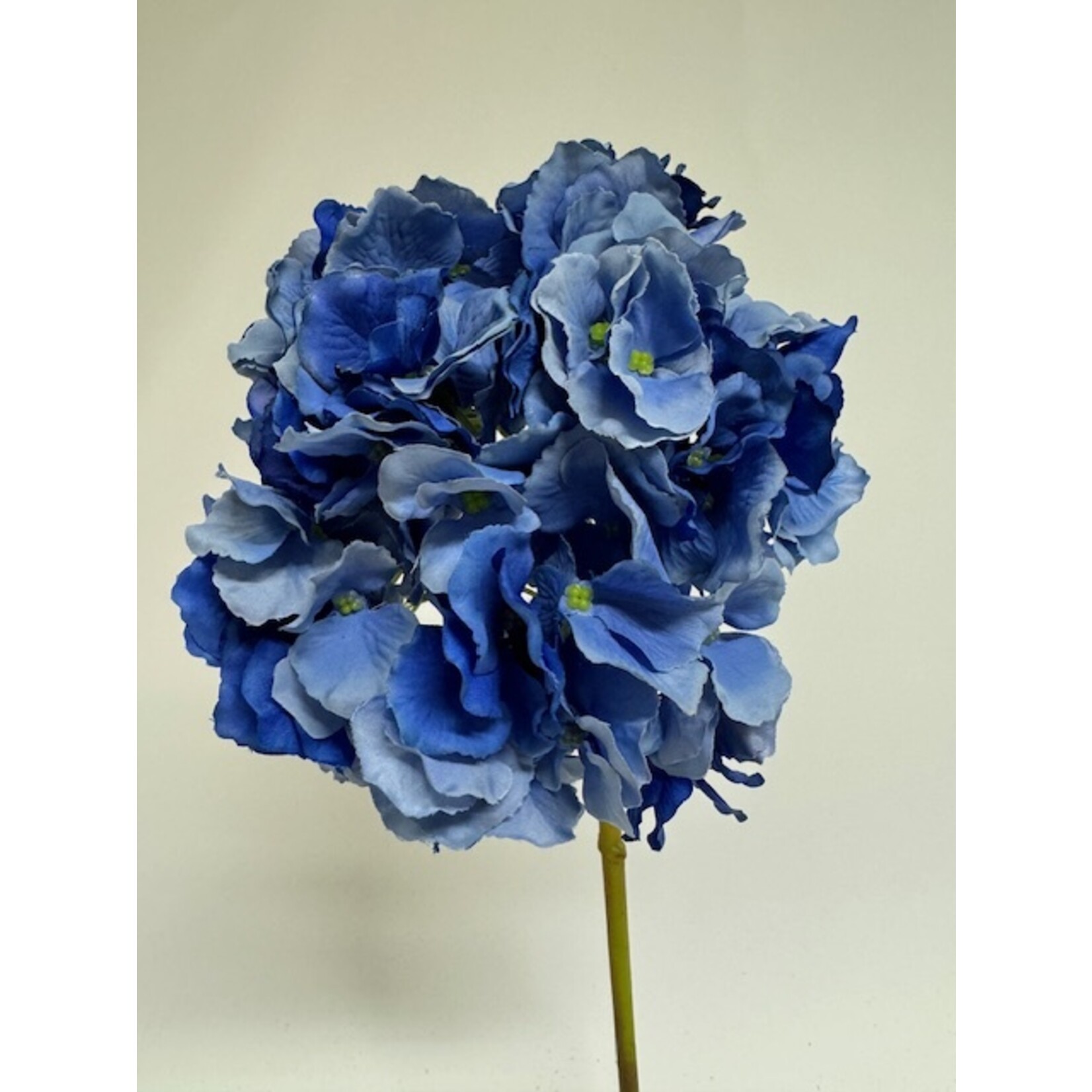 HORTENSIA LITTLE BLUE | BLAUW | 45 CM