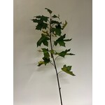 ACER BRANCH | GREEN | 110 CM