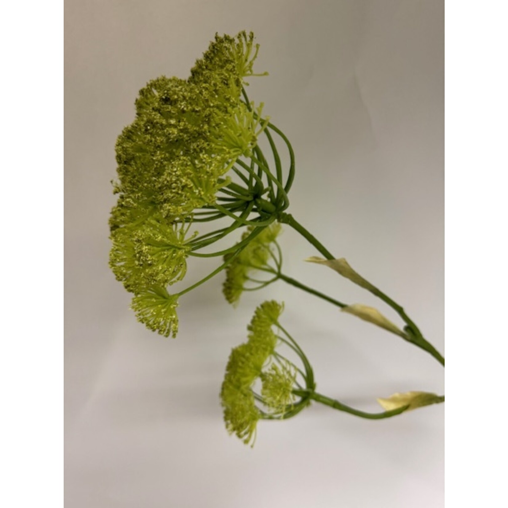 FENNEL | YELLOW | 105 CM