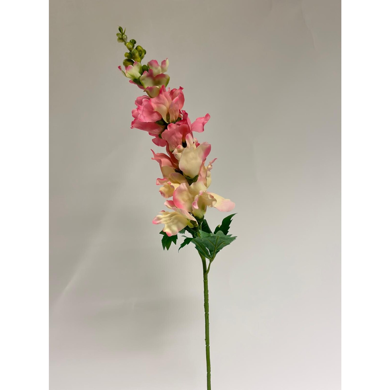 LEEUWENBEK BUTTERFLY ROSE | ROZE | 80 CM