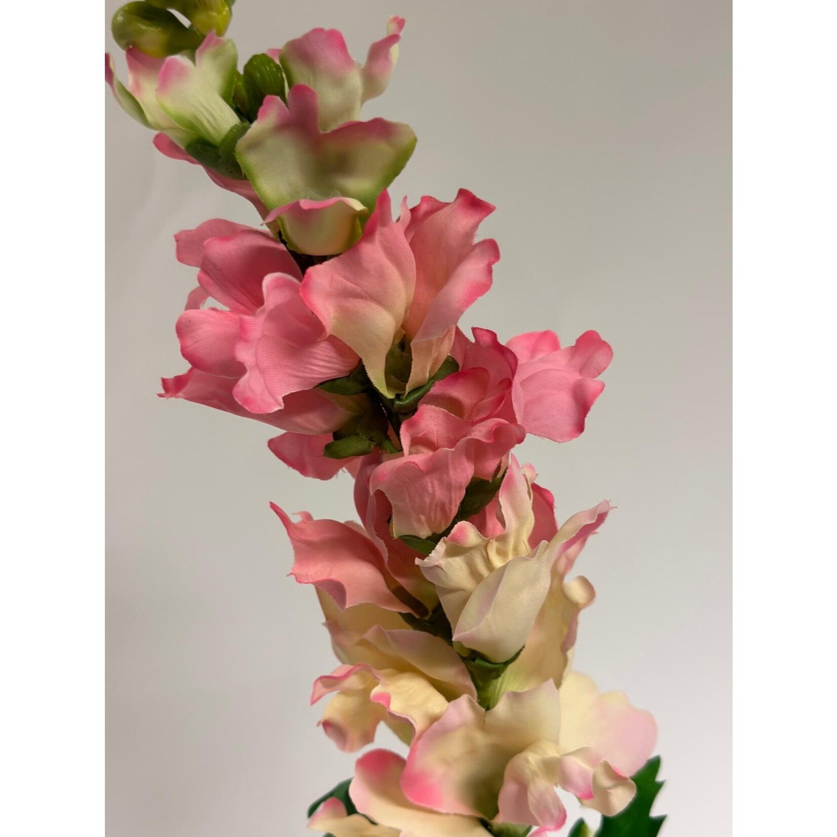 SNAPDRAGON BUTTERFLY ROSE | PINK| 80 CM
