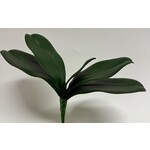 ORCHID LEAF | GREEN | 25 CM