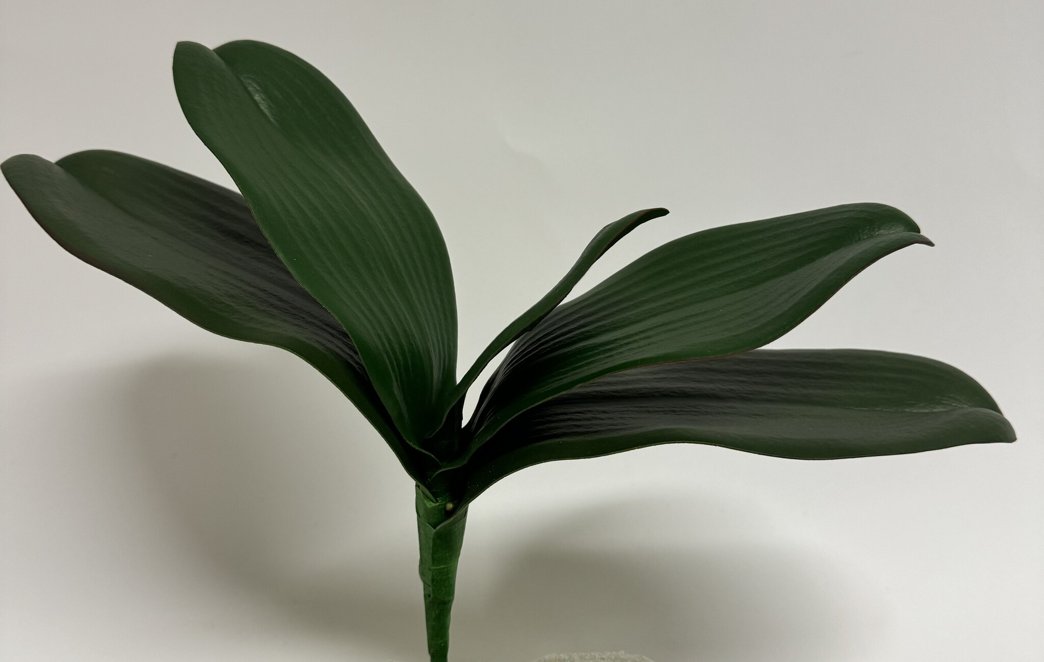 Gartenbank ORCHIDEA, 145x49x74 cm, grün