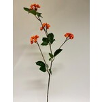 BERRY  SPRAY | ORANGE | 83 CM