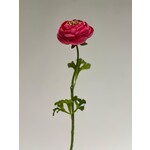 RANUNCULUS | PINK | 48 CM