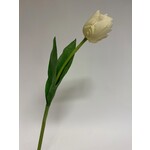 TULIP | WHITE  | 48 CM