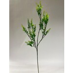 CHINESE PRIVET | GREEN | 72 CM