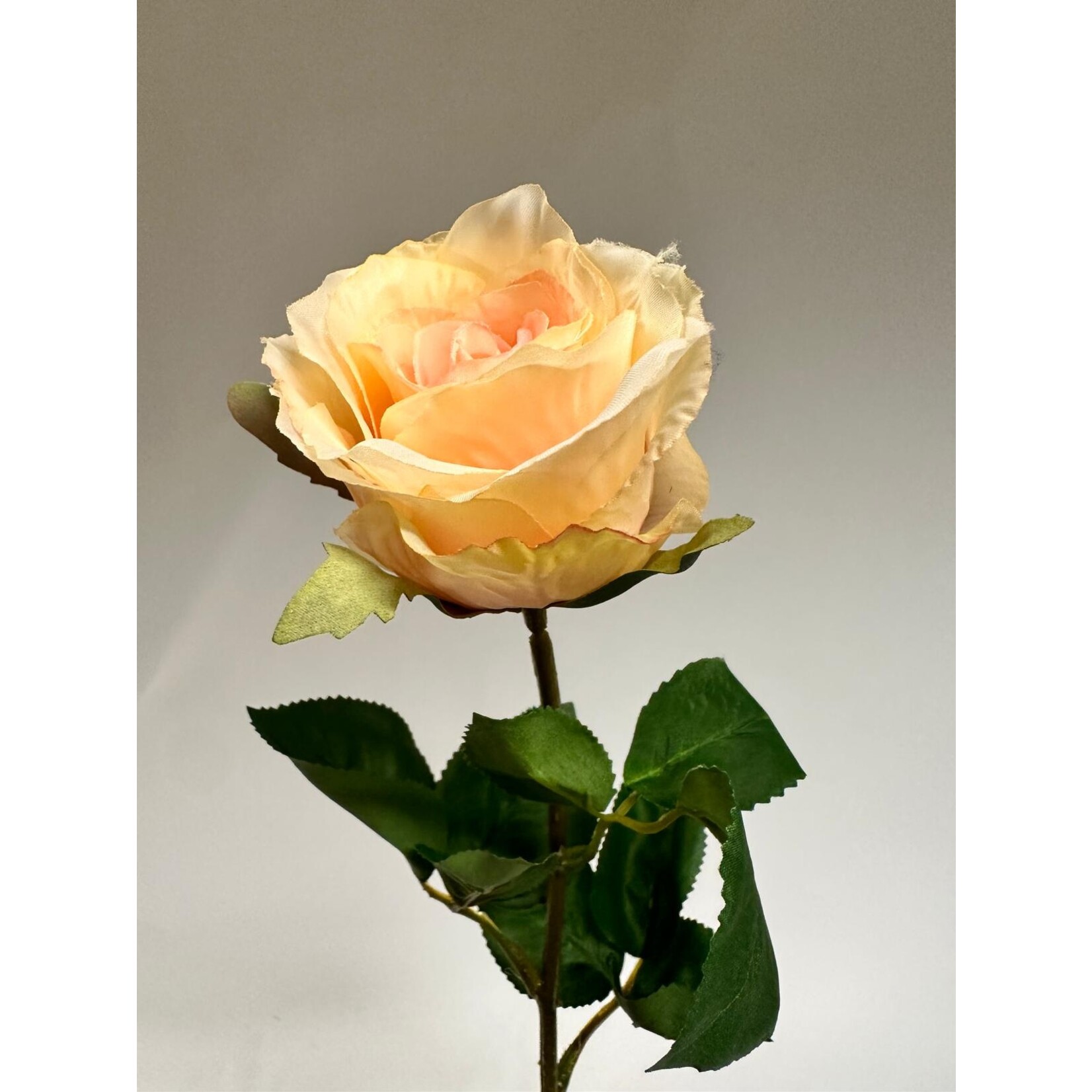 GARDEN ROSE SINGLE | LIGHT PINK | 69 CM