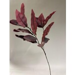 EUCALYPTUS | BURGUNDY | 88 CM