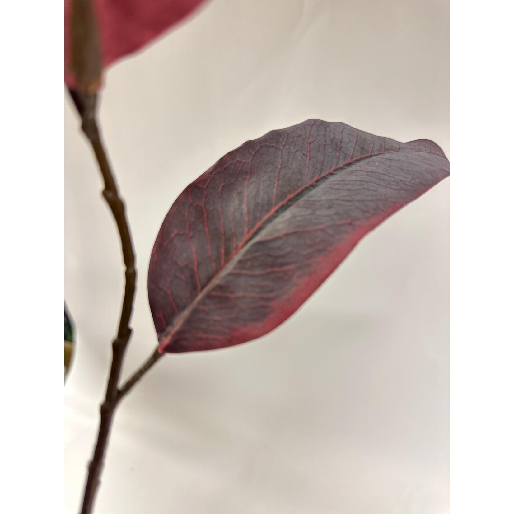 EUCALYPTUS | BURGUNDY | 88 CM