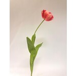 PIOEN TULP | FUCHSIA | 73 CM