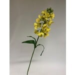 FRITILLARIA | YELLOW | 69 CM