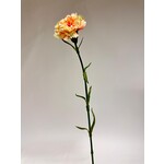 CARNATION| PEACH | 53 CM