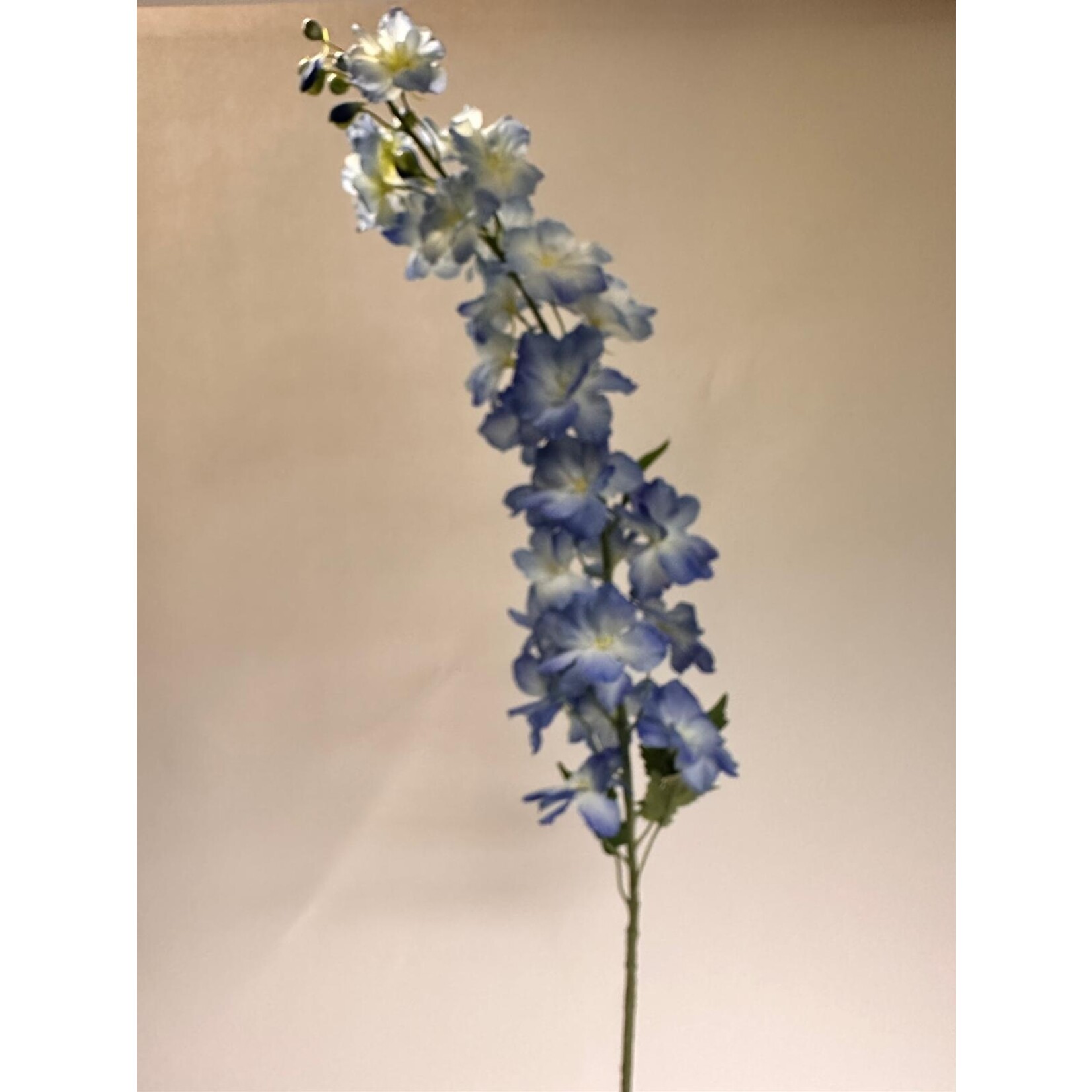 DELPHINIUM PACIFIC | BLUE | 128 CM