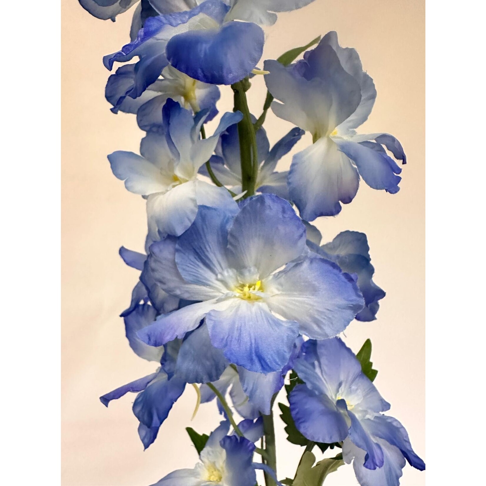 DELPHINIUM PACIFIC | BLUE | 128 CM