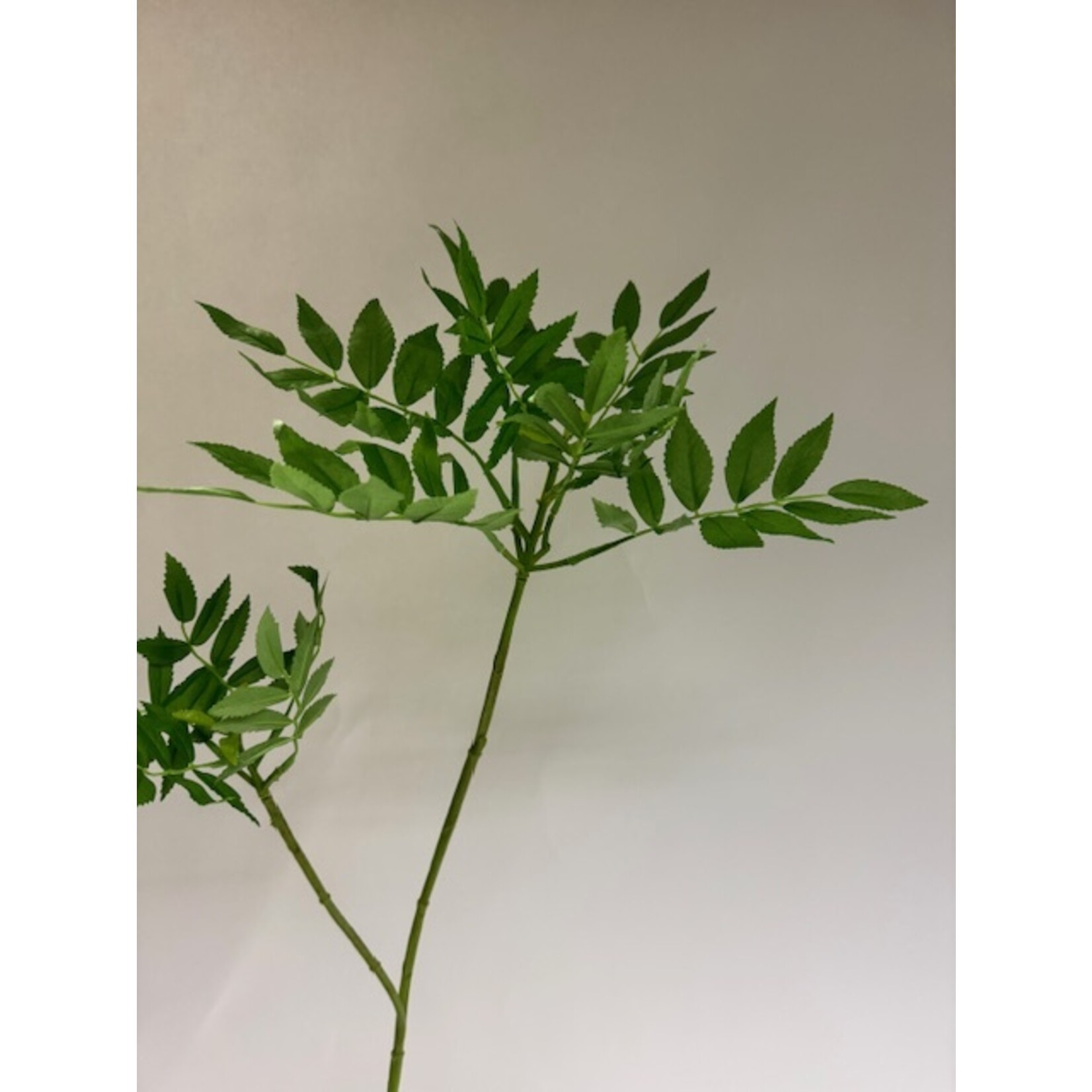 ROWAN LEAF | GREEN | 110 CM