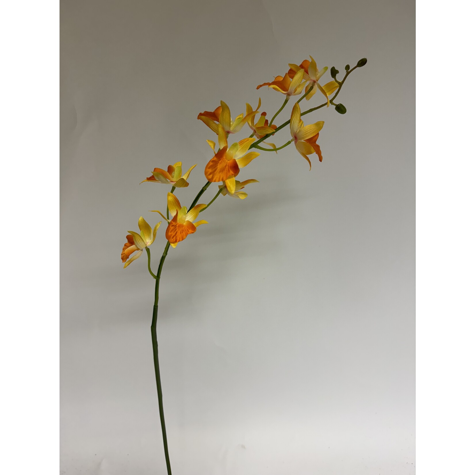 ORCHID VANDA | ORANJE | 78 CM