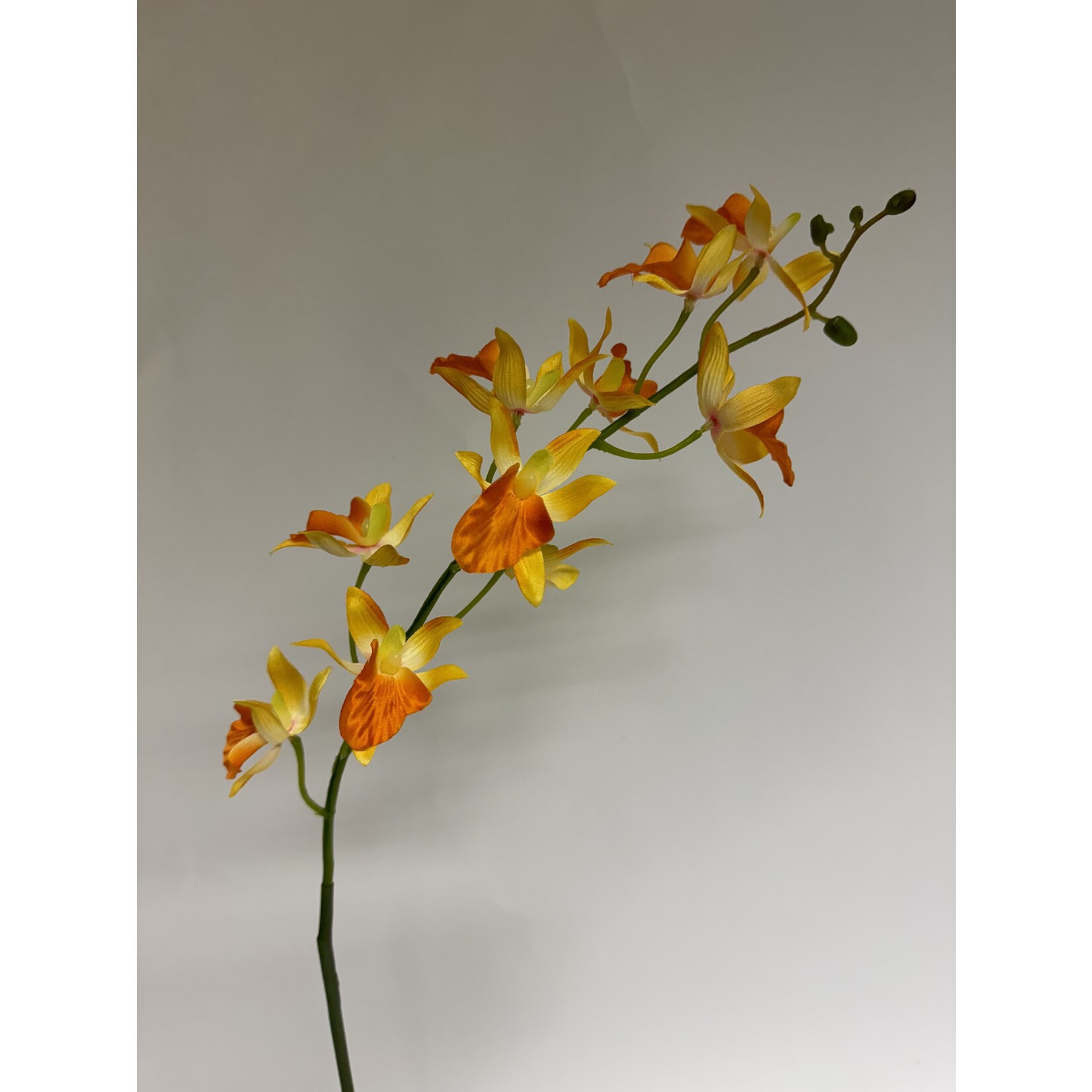 ORCHID VANDA | ORANJE | 78 CM