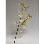 LATHYRUS | SOFT PINK | 58 CM