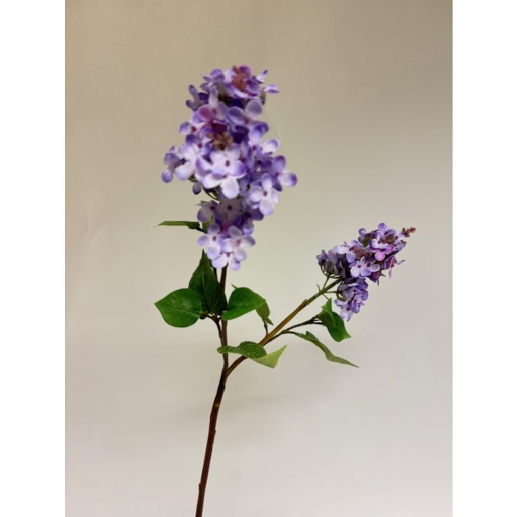 LILAC BRANCH MICHEL BUCHNER | LILAC | 84 CM