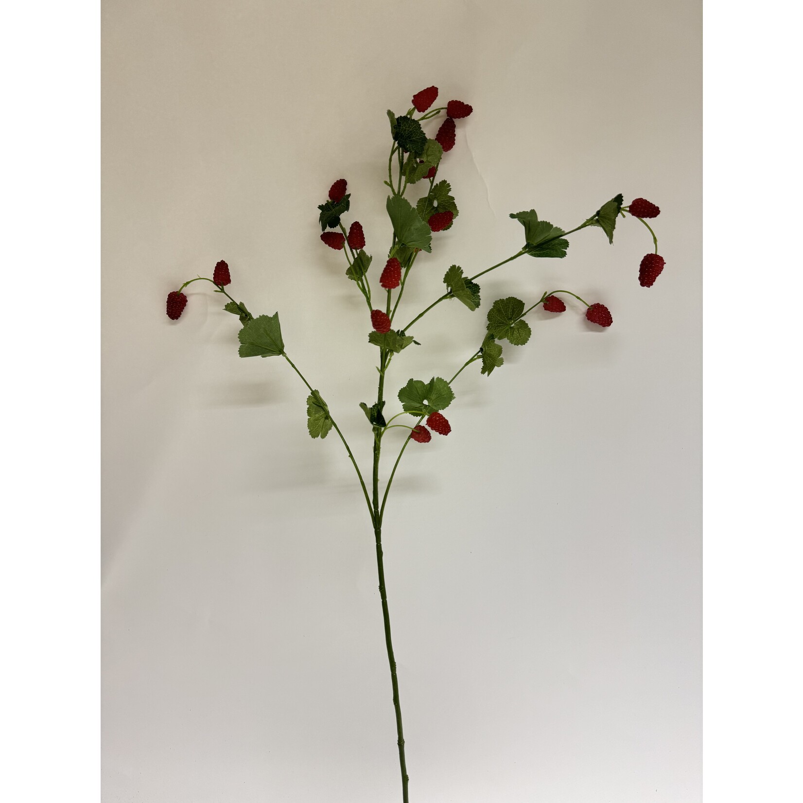 RASPBERRY BRANCH | RED | 72 CM
