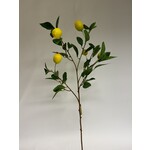 LEMON BRANCH | YELLOW | 90 CM