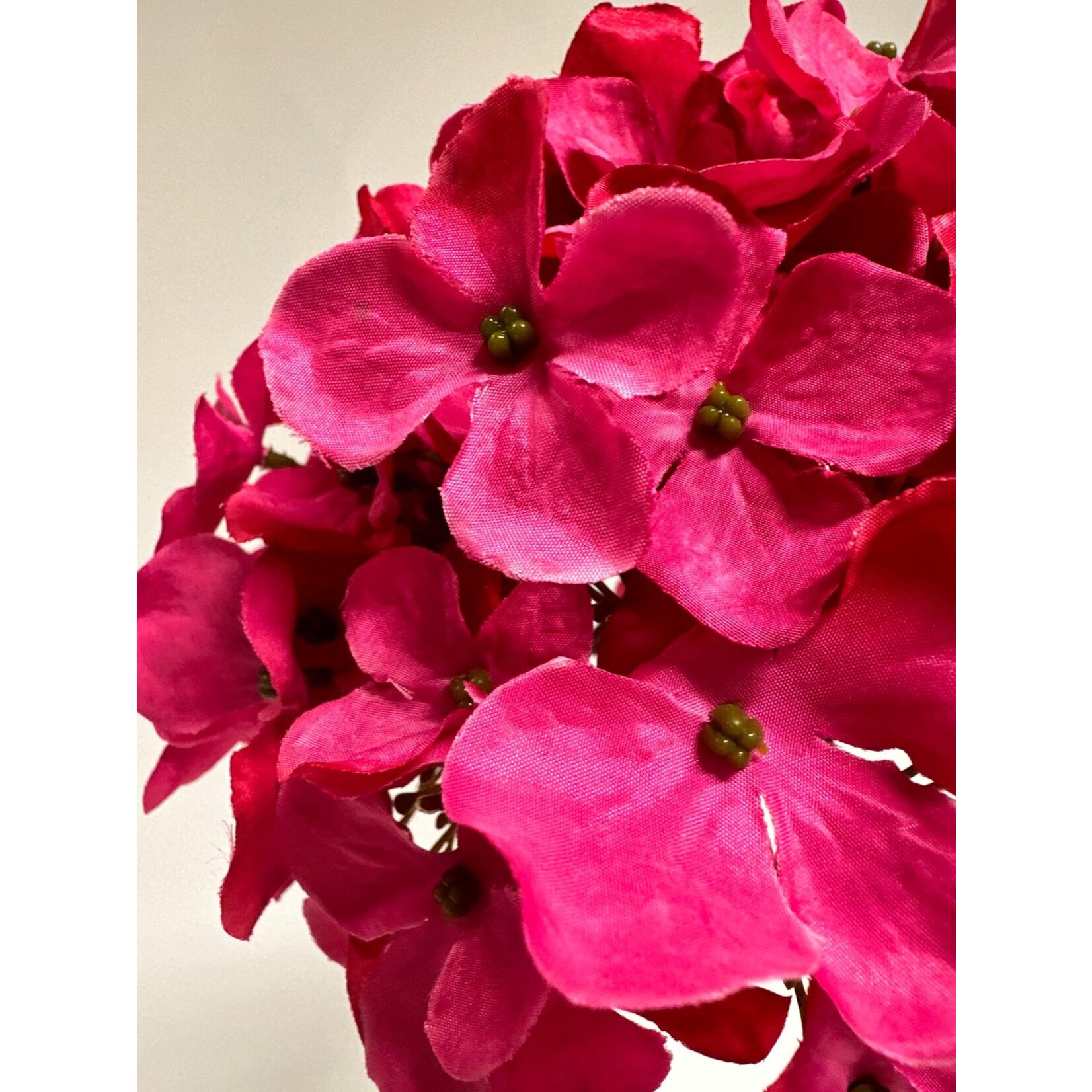 HORTENSIA | HARD ROZE | 50 CM