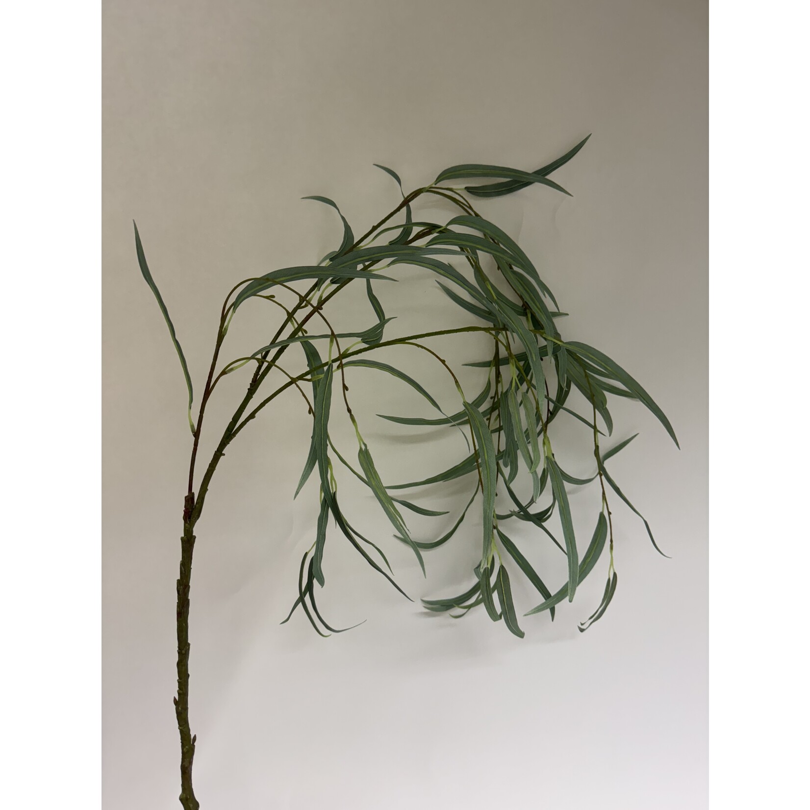 TREURWILG  | GROEN | 105 CM