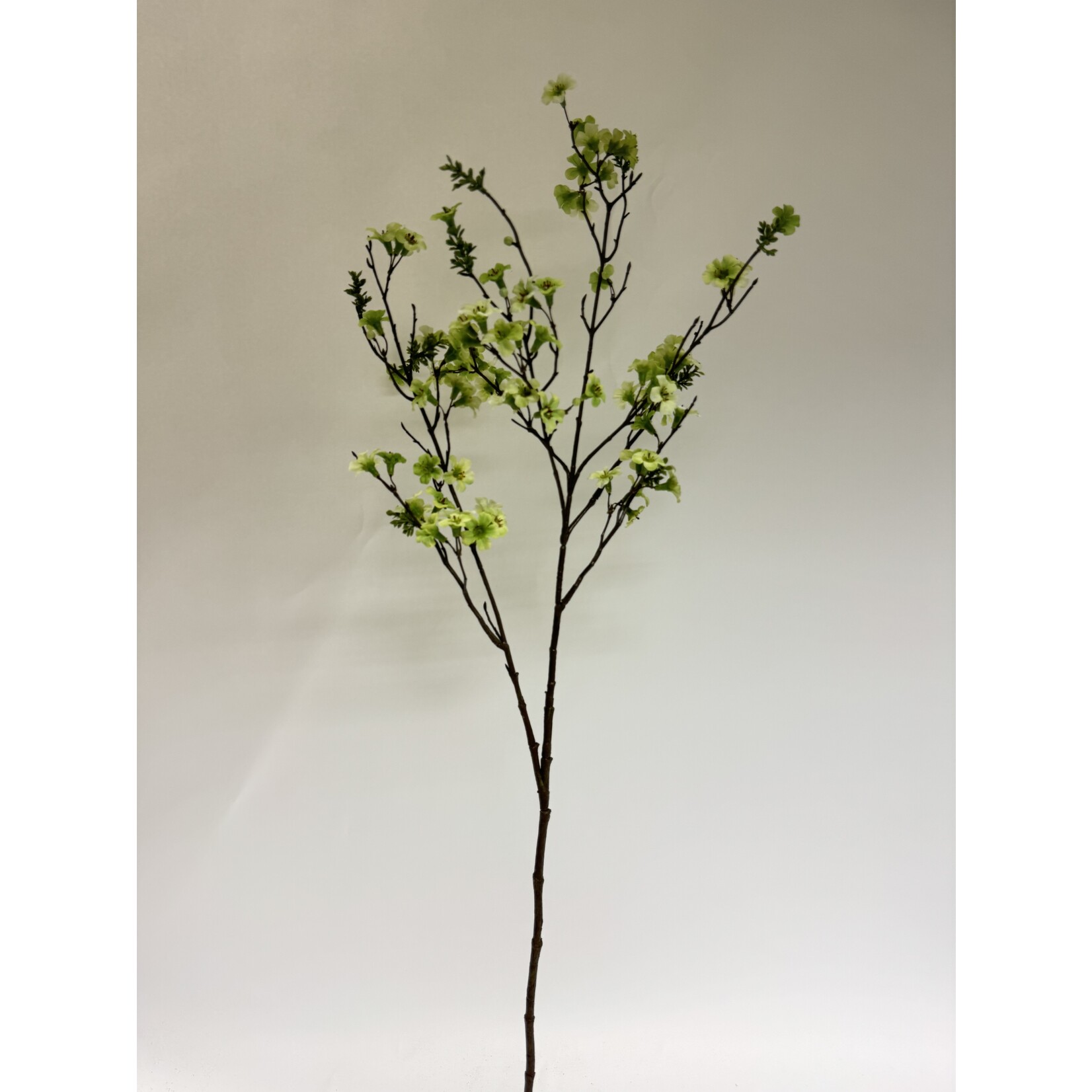 MANUKA TAK | GROEN | 110 CM