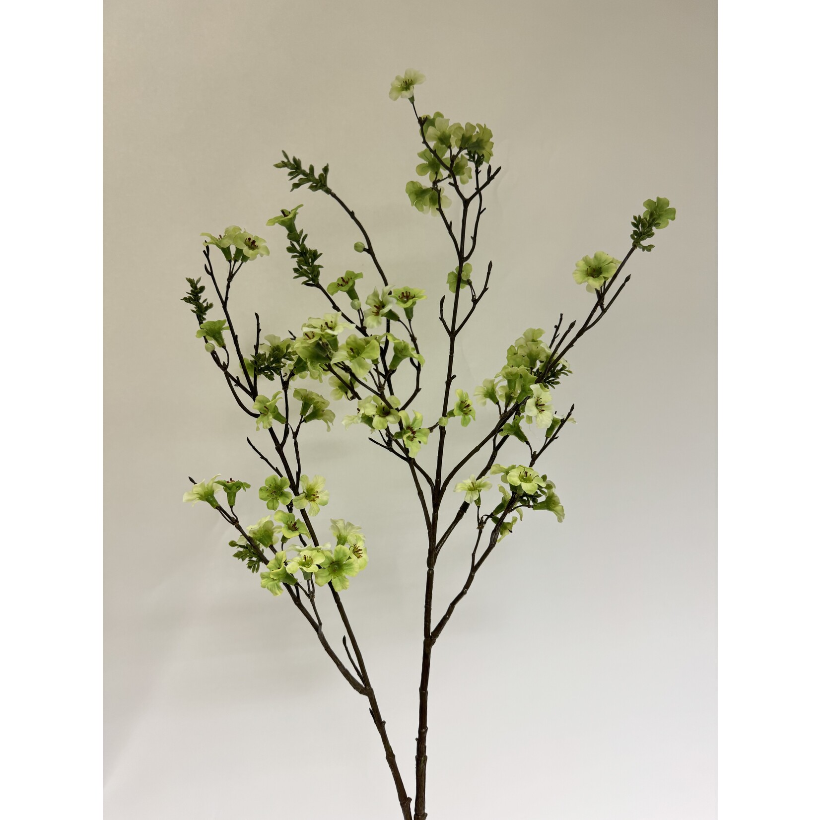 MANUKA TAK | GROEN | 110 CM