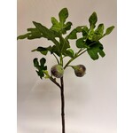 FIG BRANCH | GREEN  | 75 CM