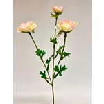 RANUNCULUS | LIGHT PINK | 41 CM