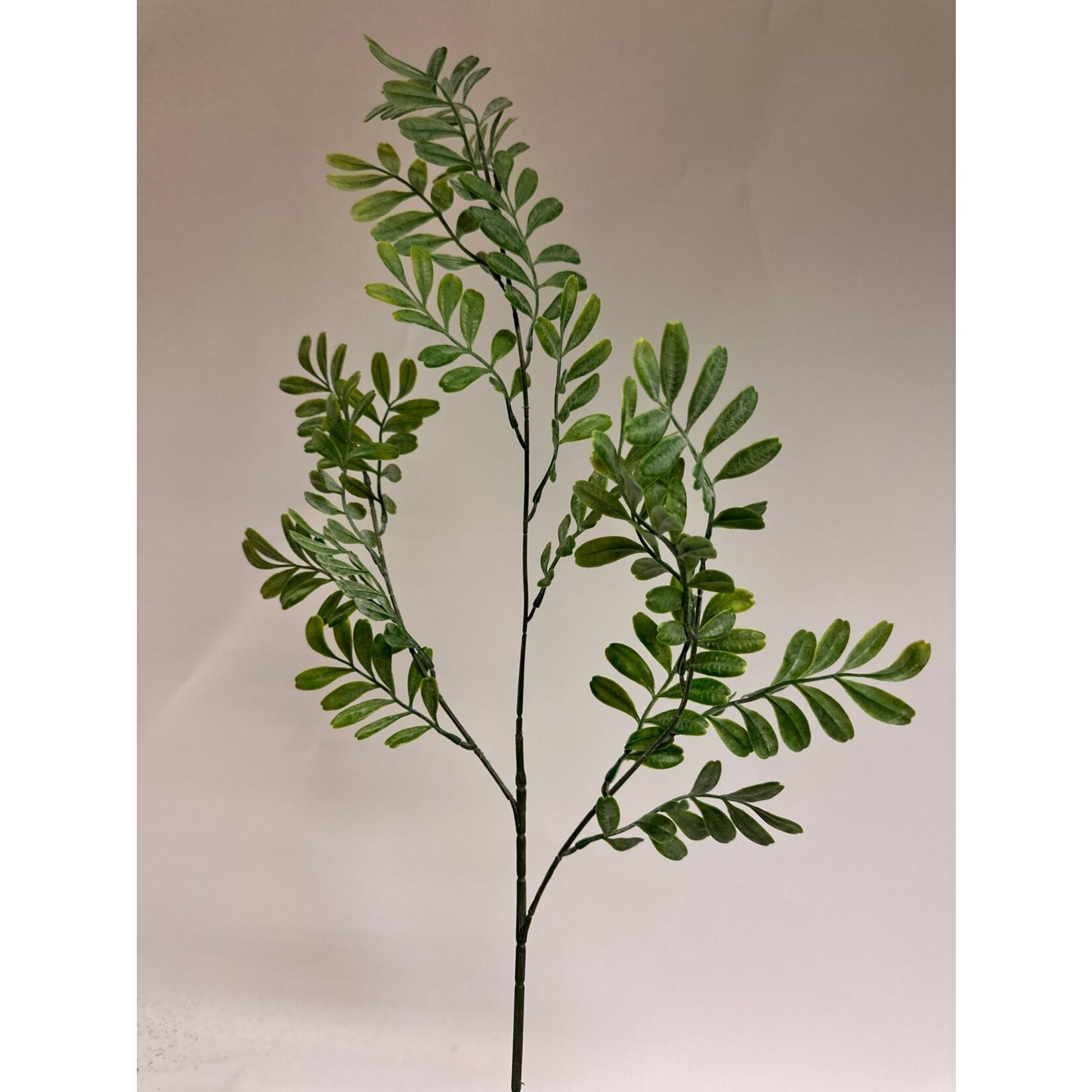 PEPPER LEAF FINE | GREEN | 82 CM