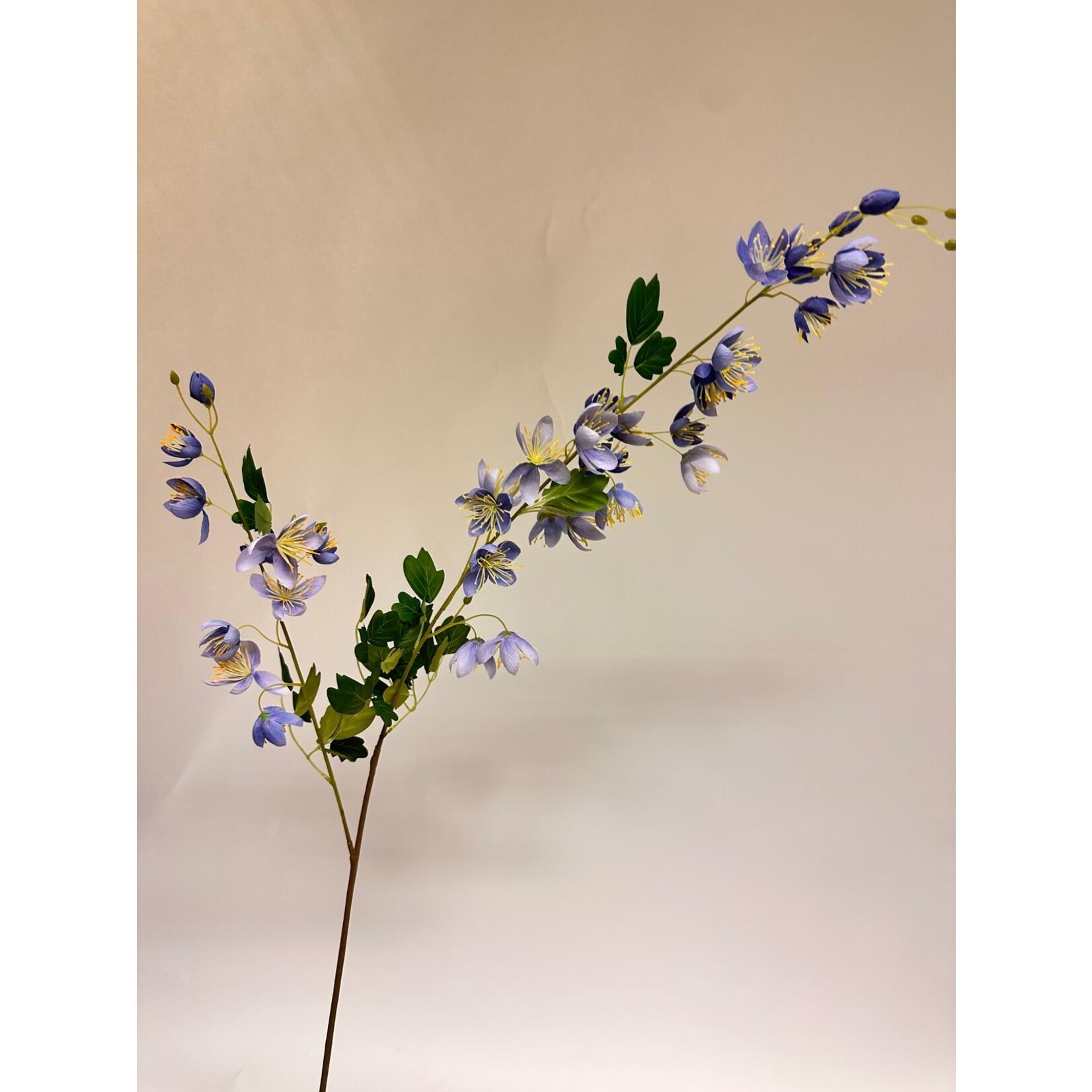 CHINESE MEADOW SPLENDIDE| BLUE | 105 CM