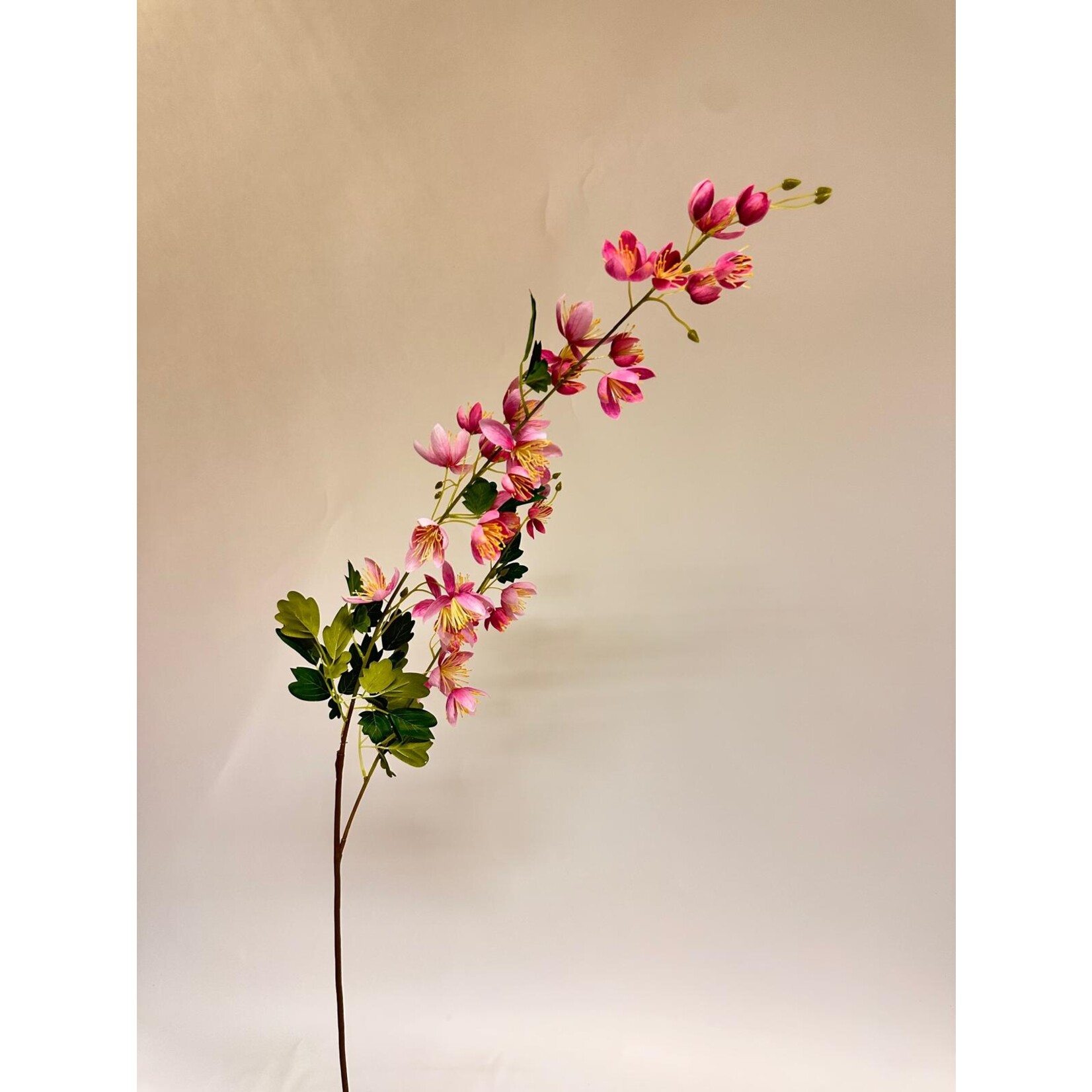 CHINESE MEADOW SPLENDIDE| PINK | 105 CM