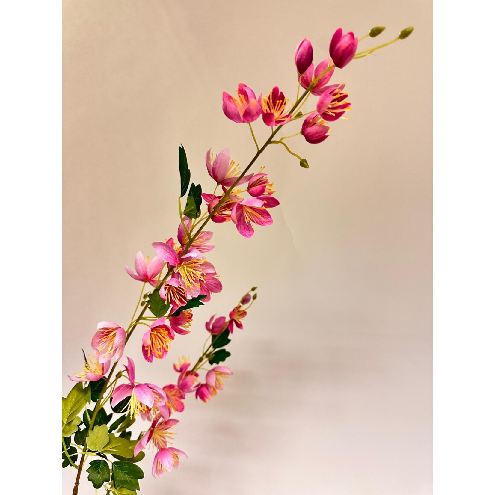 CHINESE MEADOW SPLENDIDE| PINK | 105 CM