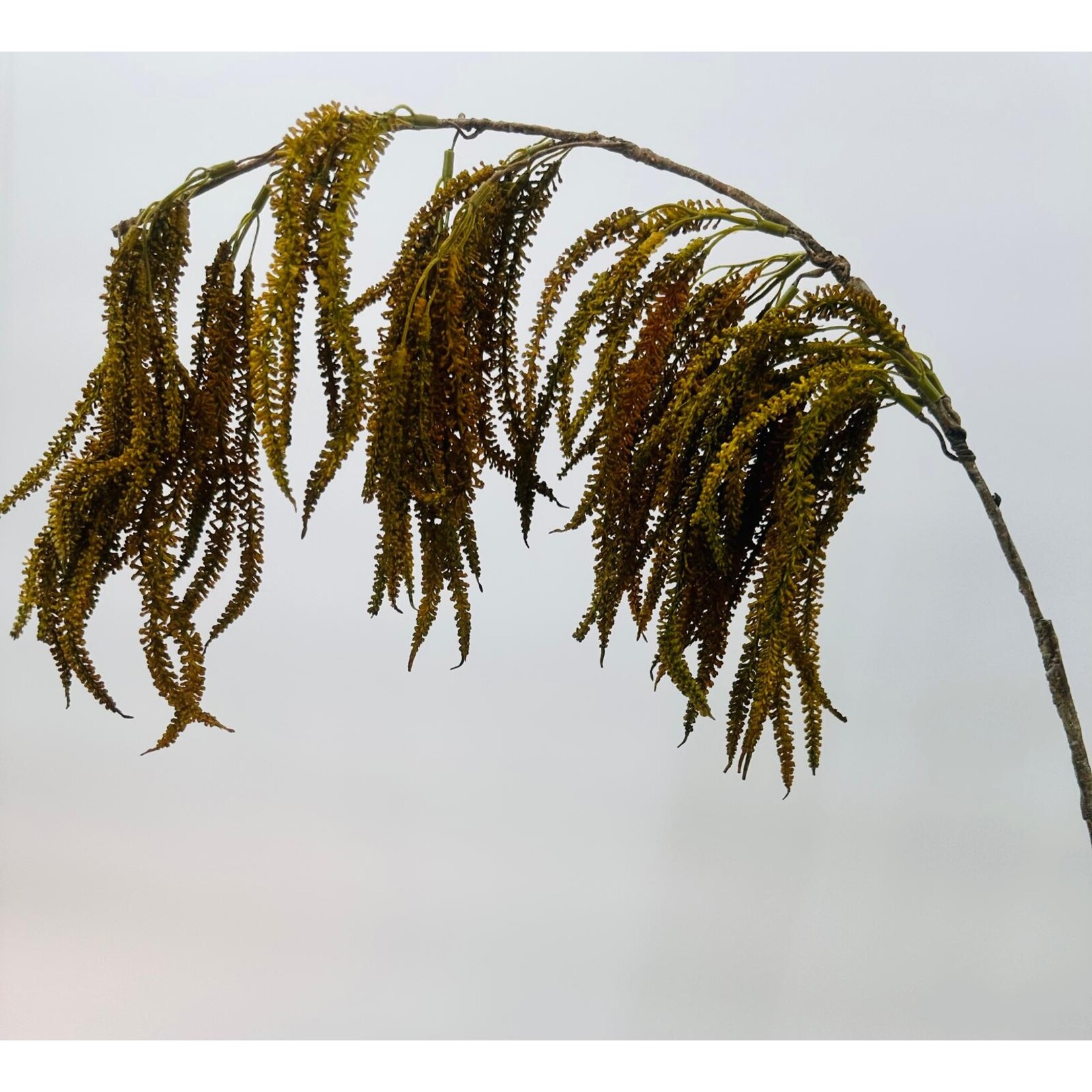 AMARANTHUS HANGEND | BRUIN | 90 CM