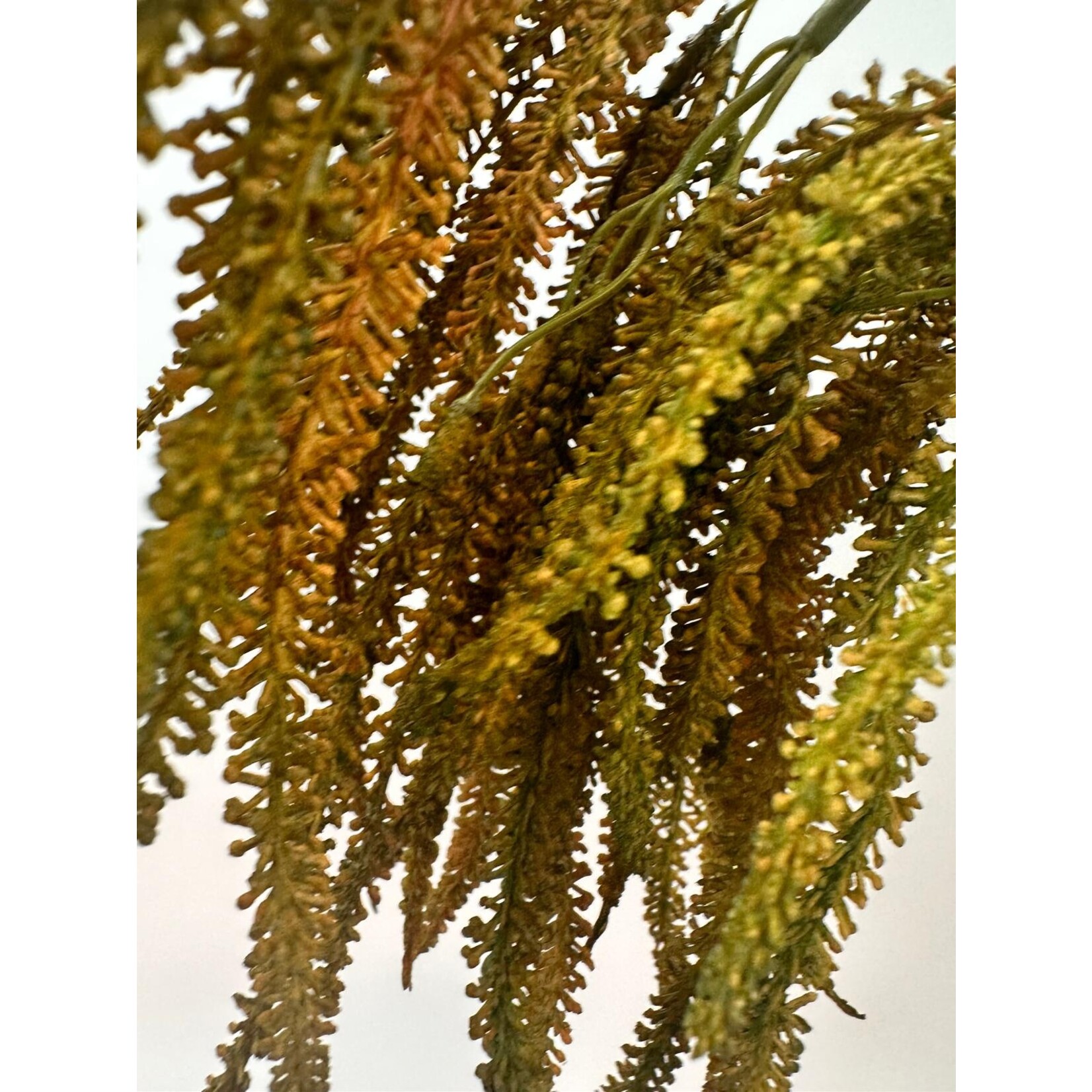 AMARANTHUS HANGEND | BRUIN | 90 CM