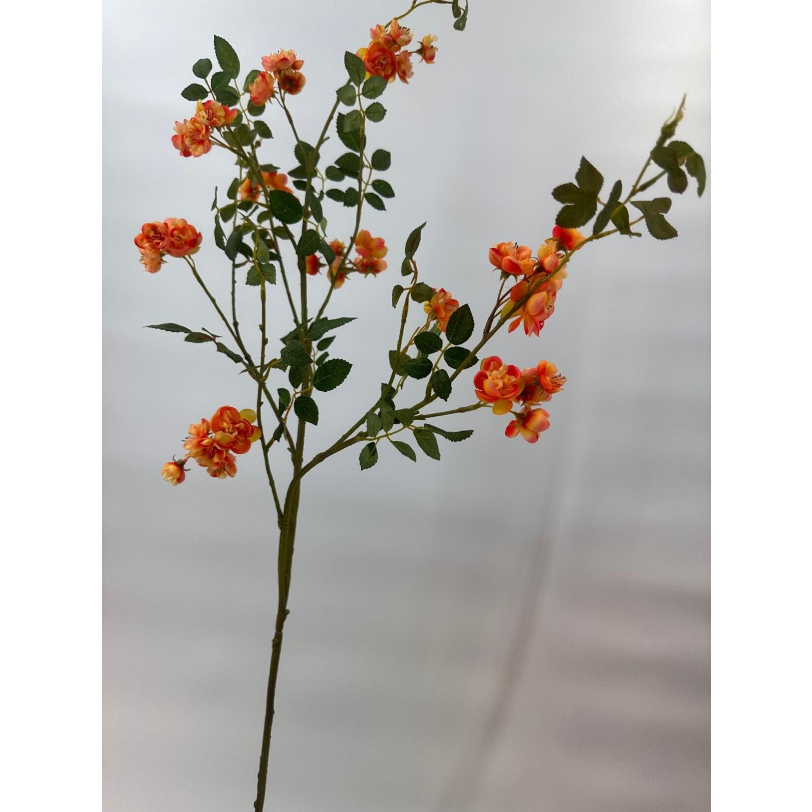 SPRAY ROSE SWEET DREAMS | PEACH | 100 CM