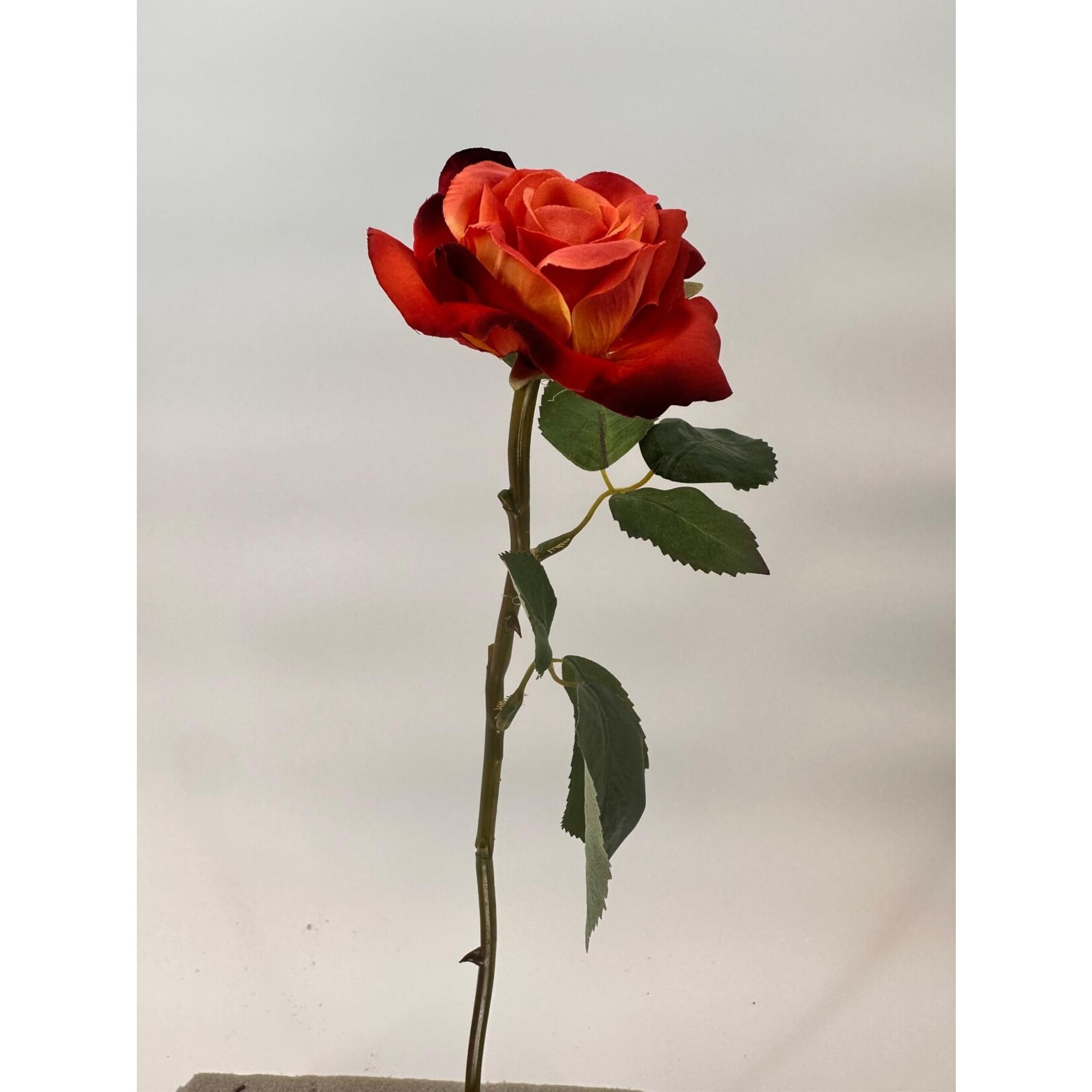 ROOS | ORANGE RED | 40 CM