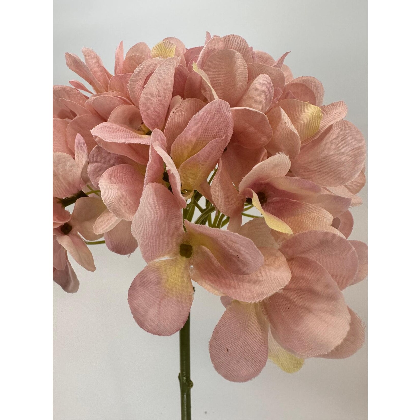 HYDRANGEA | LIGHT PINK | 50 CM