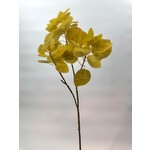 BLADTAK  | GEEL GROEN | 70 CM